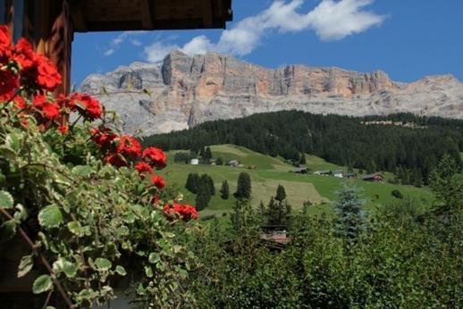 Aria D' Pre Apartment